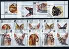 WWF Naturschutz 1991 Hunde-Rassen Varianten Bulgarien 3929/4,9ZD+6Block O 24€ Terrier Mops Pekinese Hb Sheet Bf BULGARIA - Used Stamps