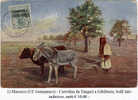 Marocco-(Uf.-Ted.)-001a - 1905-11: Yvert & Tellier N. 21 O 34 (o) Used. - Deutsche Post In Marokko