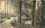 Hoesselt  ( Hoeselt ) - Institut St. Joseph  - Allée Des Sapins Et Pont - Höselt