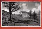 M225 Hotel Bellevue à Simplon-Kulm.Cachet 1952. Gaberell 32317 - Simplon