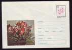 ROMANIA  Entier Postaux,postal Stationery   Cover With Roses 1971,very Rare,RRR. - Roses