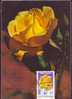 ROMANIA 1983 MAXICARD MAXIMUM CARD,with Roses.(J) - Rozen