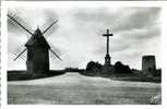 Le Mont Des Alouettes - Le Moulin Et Le Calvaire - Les Herbiers