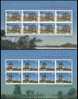 2005 CHINA-NETHERLANDS JOINT SHEETLET - Blocks & Sheetlets