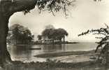 CAMAYENNE PLAGE ENVIRONS DE CONAKRY N° 287 - Guinée Française