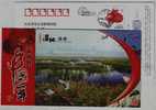 Red-crowned Crane Bird,west Dongting Lake Wetland,CN 09 Hunan New Year Greeting Advertising Postal Stationery Card - Kranichvögel