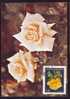 HUNGARY,1984,CM, MAXICARD MAXIMUM CARD,with Roses.(G) - Rozen