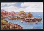 RB 555 - J. Salmon ARQ A.R. Quinton Postcard Ilfracombe From Hillsborough Devon - Paddlesteamer & Boats - Ilfracombe