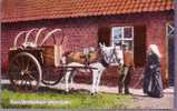 Pays-Bas - Noordbrabantsch Dorpsleven (Attelage, Cheval) - Andere & Zonder Classificatie