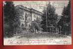 M271 Olten, Kurhaus Friedau. Animé,Belebt. Gelaufen In 1905. - Olten