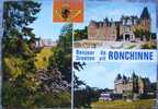 CP De ROCHINNE " Bonjour De Ronchinne " - Assesse