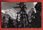 M325 Zinal Anniviers,Rothorn,Blanc De Moming,Besso,Visa Censure 1939.Gyger 8852 - Anniviers