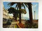 Cp, Automobile, Nice (06), Promenade Des Anglais - Andere & Zonder Classificatie