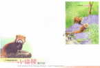 FDC 2007 Cute Animal - Lesser Panda Stamp S/s  Fauna  Bamboo Bear - Ours