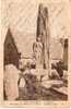 PLOZEVET ..-- 29 . FINISTERE ..--  Monument Aux Morts Pour La Patrie . - Audierne