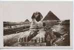 Egypte - Cairo - The Sphinx - Sfinge