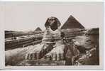 Egypte - Cairo - The Sphinx - Sphynx