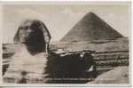 Egypte - Cairo - The Enigmatie Sphinx And The Cheops Pyramid - Sphynx