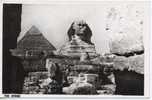 Egypte - The Sphinx - Sphinx