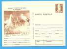 ROMANIA Postal Stationery Postcard 1977  Bird White Stork Ciconia Ciconia - Storchenvögel