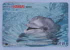 DOLPHIN  ( Japan ) Delphin Delfin Dauphin Delfino Dauphine Dolphins Undersea Animal Animaux Animals Bete Tier Animali - Delfines