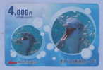DOLPHIN  ( Japan ) Delphin Delfin Dauphin Delfino Dauphine Dolphins Undersea Animal Animaux Animals Bete Tier Animali - Delfines
