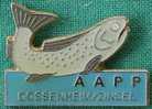 A.A.P.P. DOSSENHEIM / ZINSEL - POISSON - PECHE - Associations