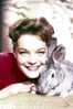 A38-069@  Actress  Romy Schneider  , ( Postal Stationery , Articles Postaux ) - Acteurs