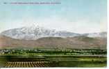 MT. SAN BERNADINO FROM NEAR HIGHLANDS - San Bernardino