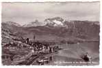 EUROPE - SWITZERLAND, St. Saphorin, Top View, Year 1950 - Saint-Saphorin