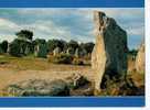 CPM      BRETAGNE PITTORESQUE     CARNAC     ALIGNEMENTS MEGALITHIQUES - Dolmen & Menhirs