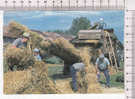 LA BATTEUSE     - Photos Francis DEBAISIEUX  - N°  323 - Landwirtschaftl. Anbau