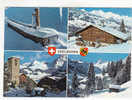 ADELBODEN  -  4 Vues :  Brunnen, Our Chalet, Kirche, Muhleweidi  - N°  29803 - Adelboden