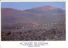 LANZAROTE - Parque Nacional De Timanfaya - Montana Del Fuego - Chameaux - Camels - Format 17 Cm X 12 Cm - Lanzarote