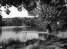 69 LE BOIS D'OINGT Le Lac Des Petits Ponts - Le Bois D'Oingt