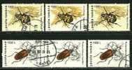 ● ROMANIA - 1996 - INSETTI - N.° 4317 / 18 Usati - Cat. ? €  - Lotto N. 402 - Usado