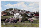 H147 - CHATEAU-CHINON - Vue Générale (CPSM Grand Format) - Chateau Chinon