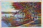 SHORE LINE AT BELVIDERE PARK  . LAKE GENEVA. WISCONSIN.  CARTE TOILEE. - Sonstige & Ohne Zuordnung