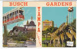 PO8509#  FLORIDA - TAMPA - BUSCH GARDENS - Vedute Safari - Monorotaia   VG 1972 - Tampa