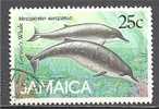 1 W Valeur Used, Oblitérée - JAMAICA - MESOPLODON EUROPAEUS - N° 1052-56 - Jamaica (1962-...)