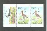 NEDERLAND ZOMERZELS  VOGELS  1984** UIT CARNET - Unused Stamps