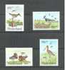 NEDERLAND ZOMERZELS  VOGELS  1984** - Unused Stamps