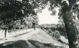 CROISSY-SUR-SEINE -BERGE DE LA PRAIRIE - Croissy-sur-Seine