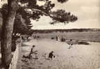 LA FORET-FOUESNANT LA PLAGE DE KERLEVEN ET LE CAMP DE ST LAURENT - La Forêt-Fouesnant