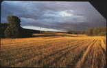 POLAND 105 - LANDSCAPE SET - 11 - Polen