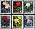 China 1984 T93 Chinese Rose Stamps Flower - Rosen