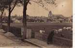 14 PONT L´EVEQUE Vue Génèrale Prise De La Nouvelle Route De Lisieux Cpa Animée - Pont-l'Evèque