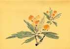 Folder 1996 Ancient Chinese Engraving Painting Series Stamps 4-3 - Fruit Vegetable Orange Lotus - Légumes