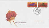 Christmas Island-2002 Year Of The Horse   FDC - Christmaseiland