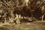 LES CAMOINS -  Le Parc -la Source Sulfureuse -la  Cascade-années 30 - Les Caillols, La Valentine